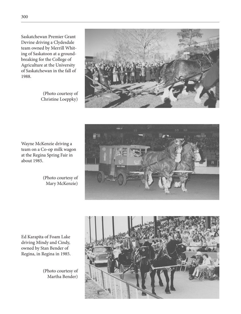 Page 300 of Harnessed To Our Hearts