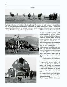 The Clippity-Clop Chronicle - August 2025 - Page 33